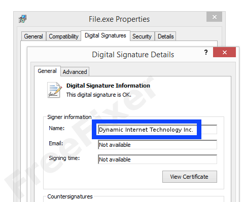 Screenshot of the Dynamic Internet Technology Inc. certificate